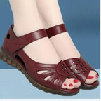 26a30830536dbe4f4a985b0ef48b05e5
