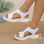 6cad6ce3facef3c9a608f732701ca2ce