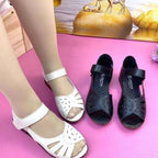 1fc124954e979a78547c42134519bc72